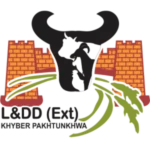 Untitled design (13)