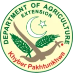 Untitled design (20)